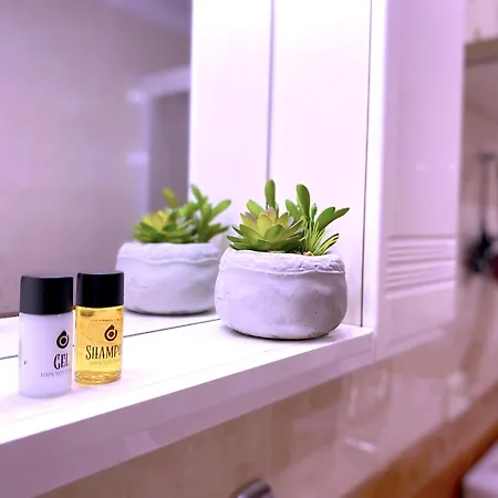 Tropicalidays Mar Relax Galletas